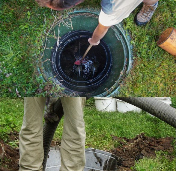 Residential Pest Control